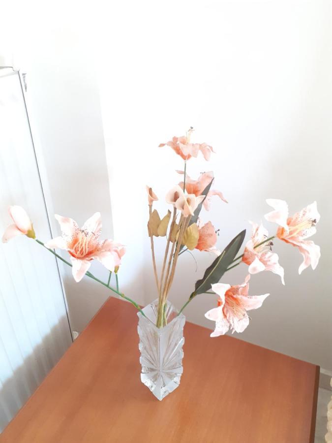 Asteris Appartment テルミ エクステリア 写真